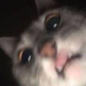 huntk avatar