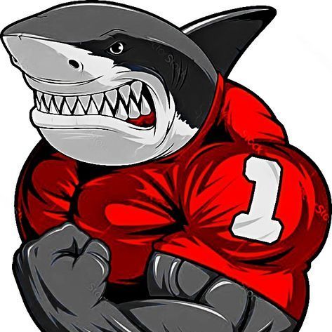 Sharkkkk000