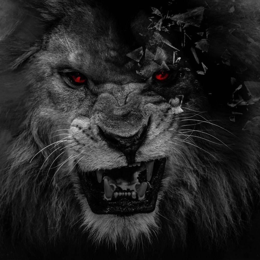 -Kalash avatar