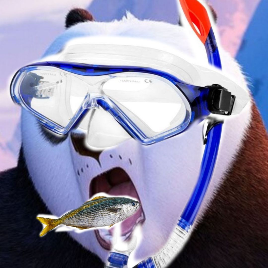 _spl- FACEIT avatar