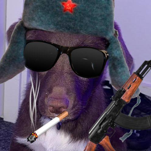 Gejl_ avatar