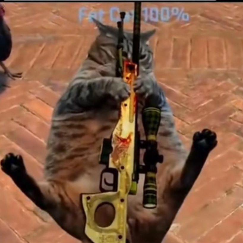 Player Fat__Cat avatar