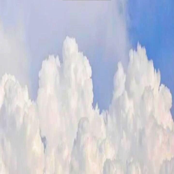wnym
