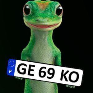 geko avatar
