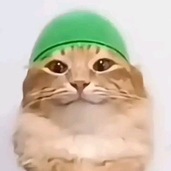 in0stranec