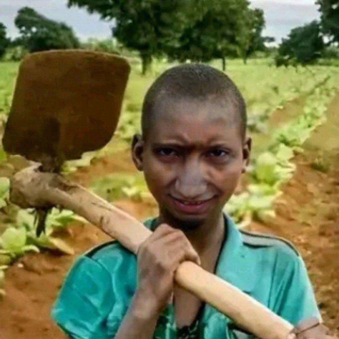 Qiw1k avatar