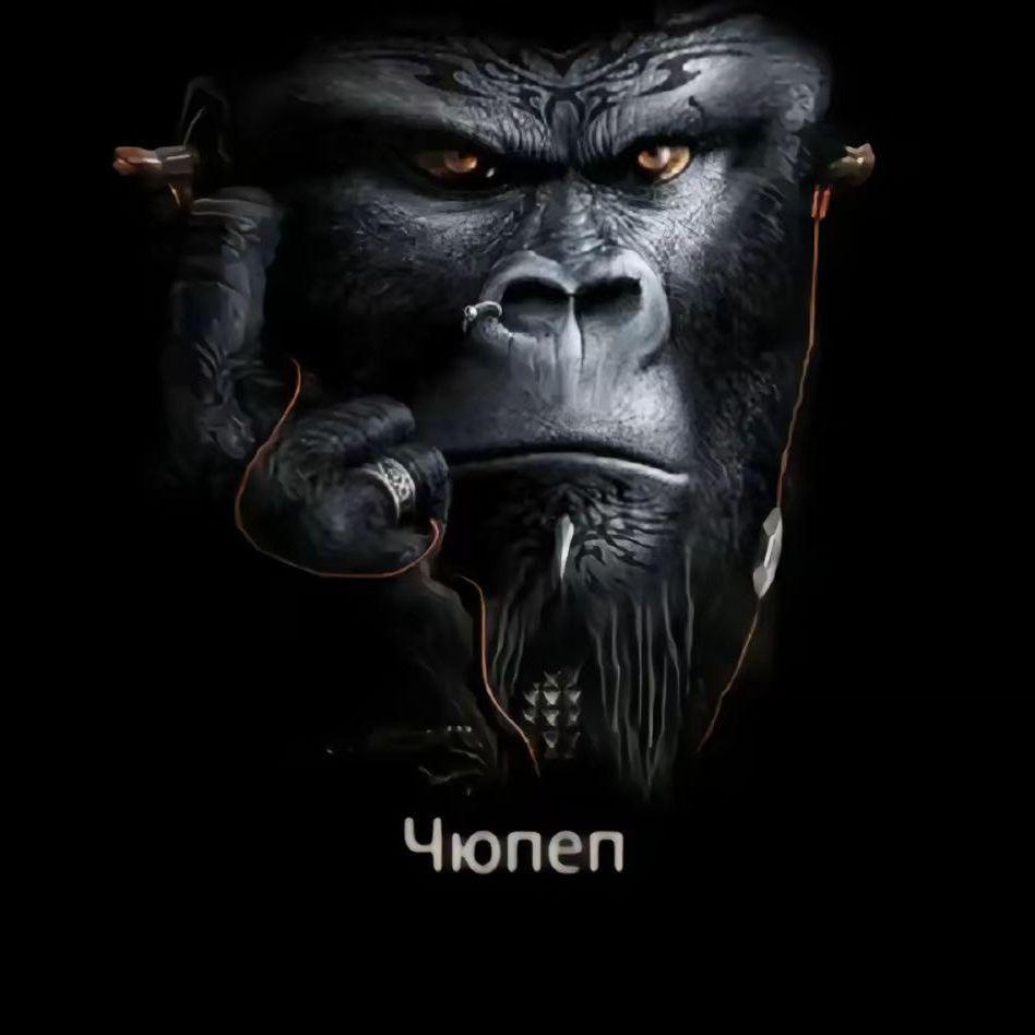 dkmchik avatar