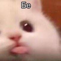 MrPum avatar