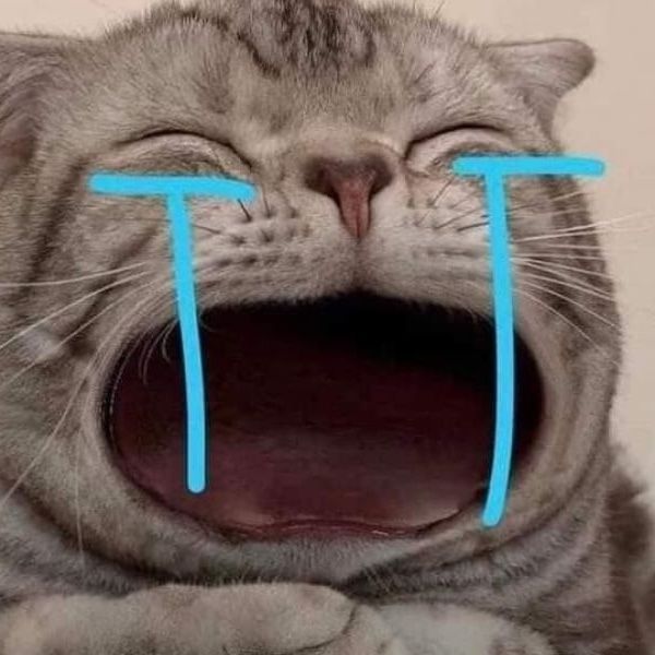 crymeomeo