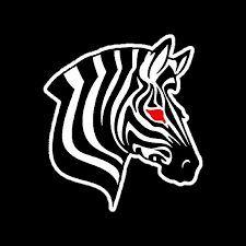 ZebraXy avatar