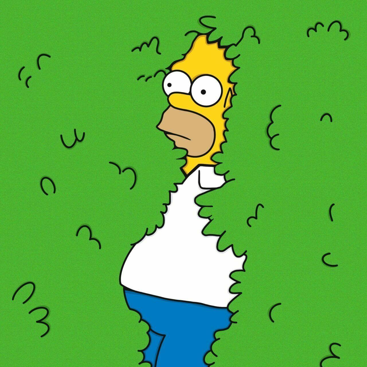 w_2 avatar