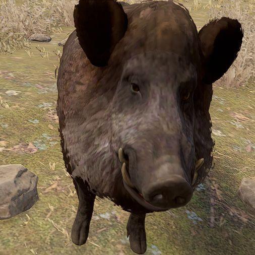 pogar_19 avatar