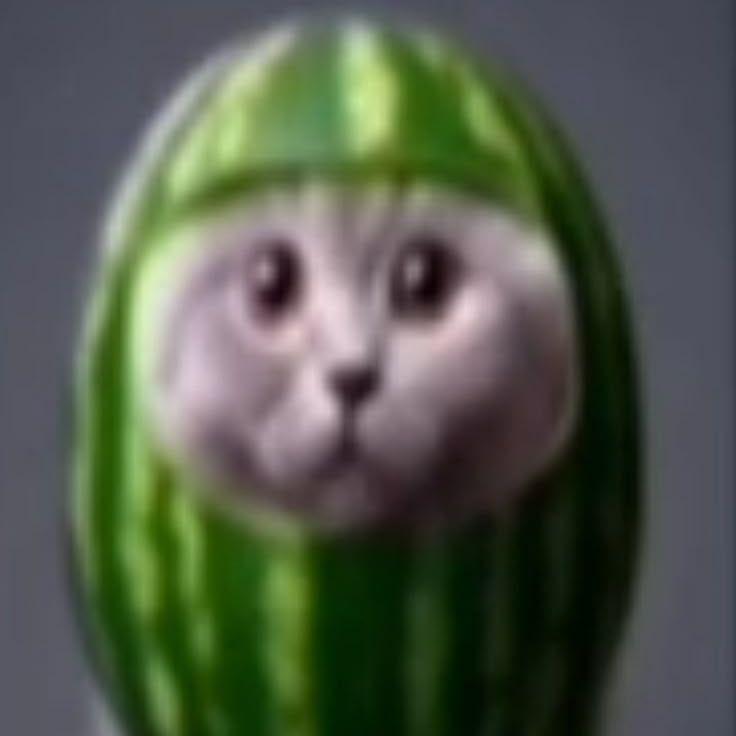 kayfarik225 avatar