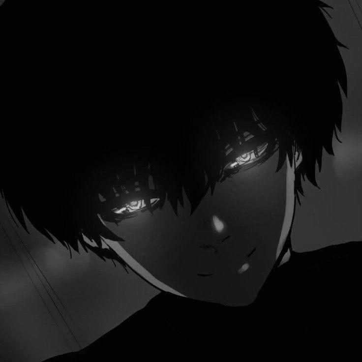 _naill avatar
