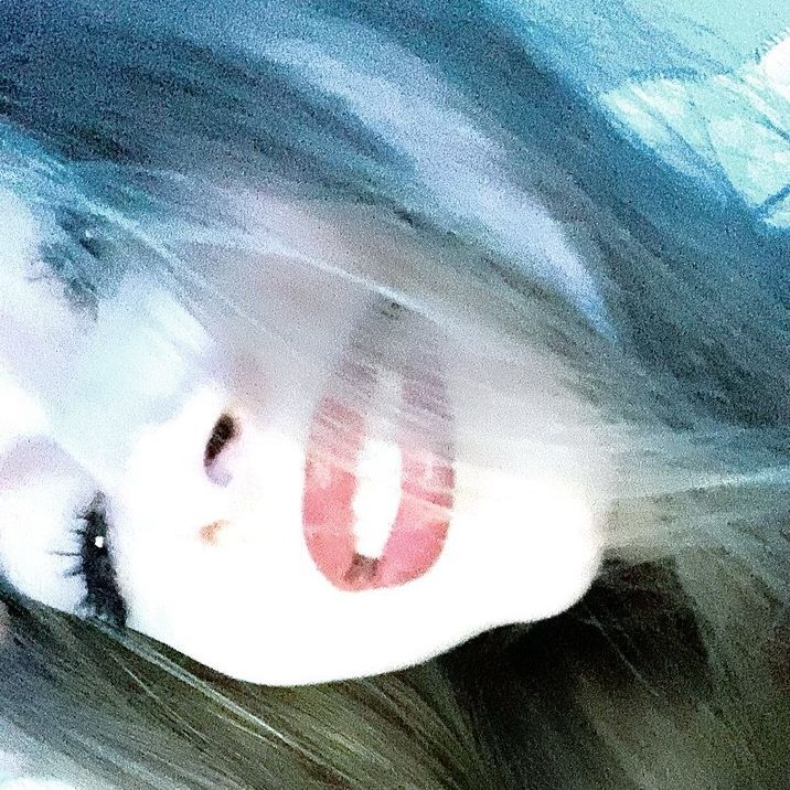zevahh