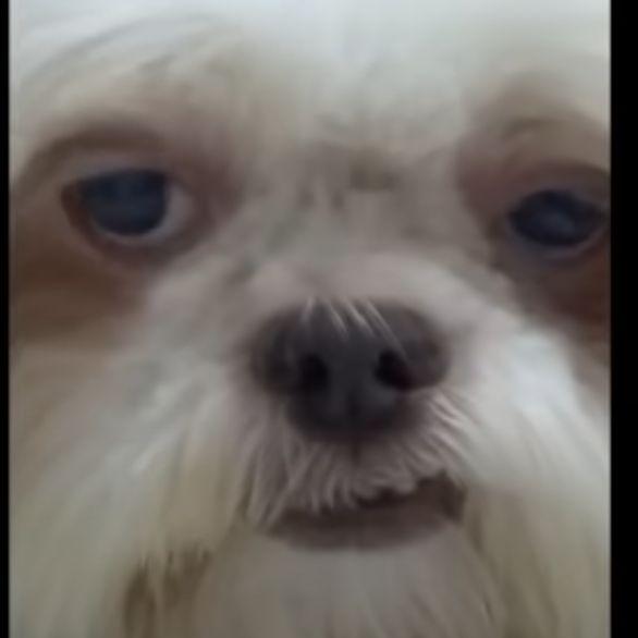 TyKKe