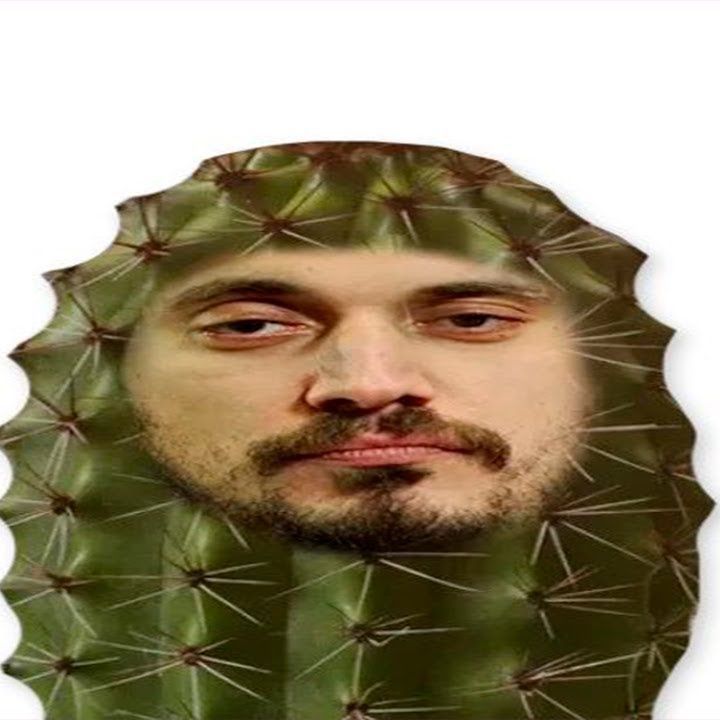 zz_Z_zz avatar