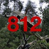 812 Team
