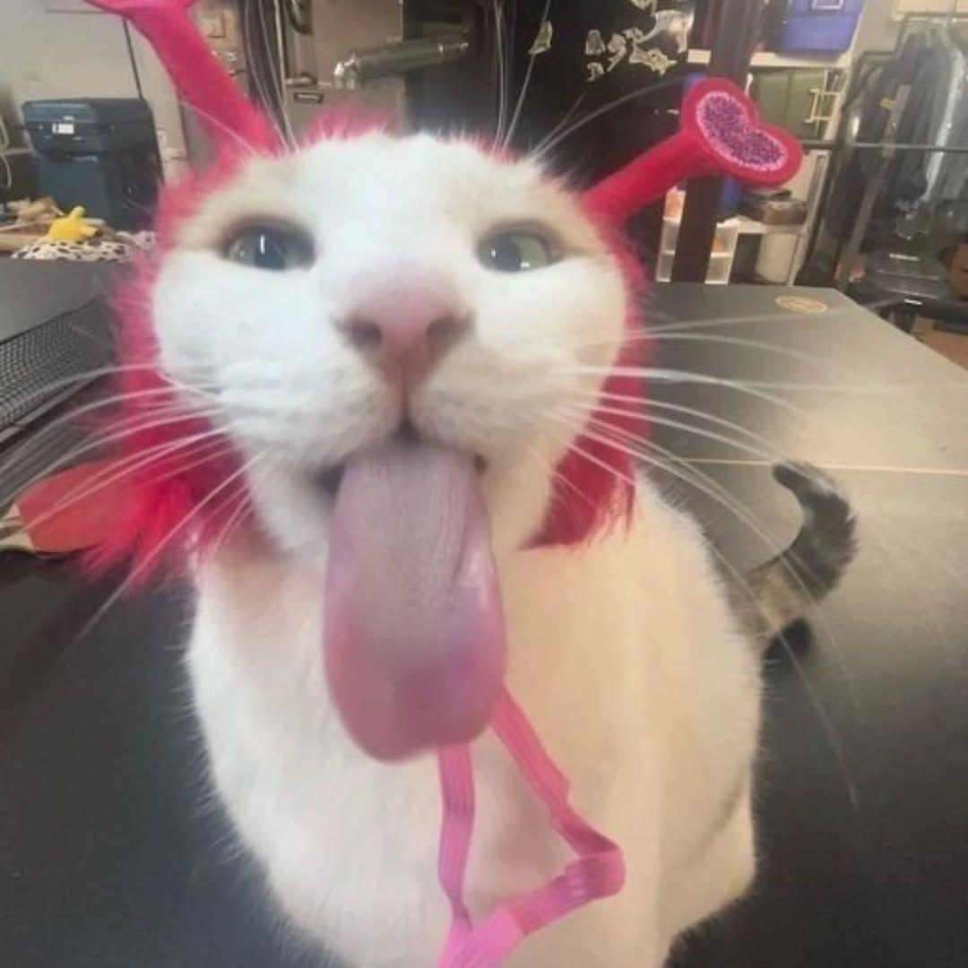 5EXYVOVA avatar