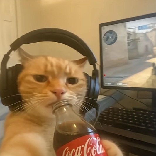 _L5aga_