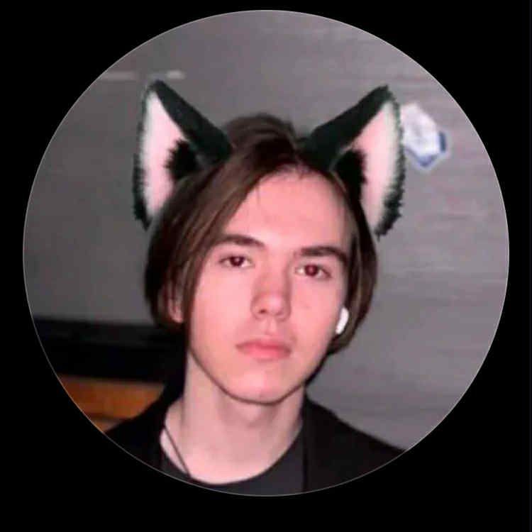 KUT42o FACEIT avatar