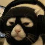 nikoWHO