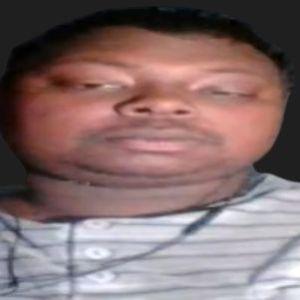 viN9800 avatar