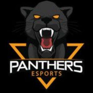 PANTHERS