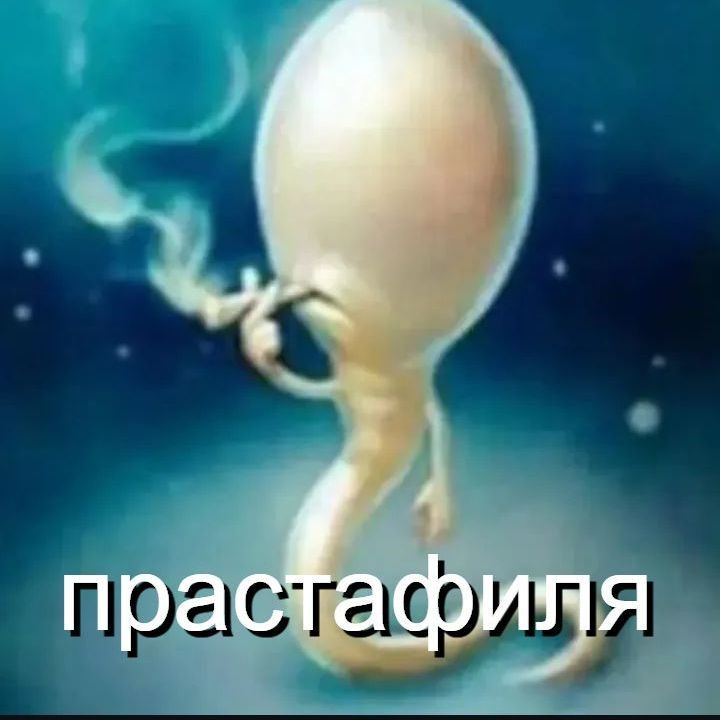 Pidormotik67