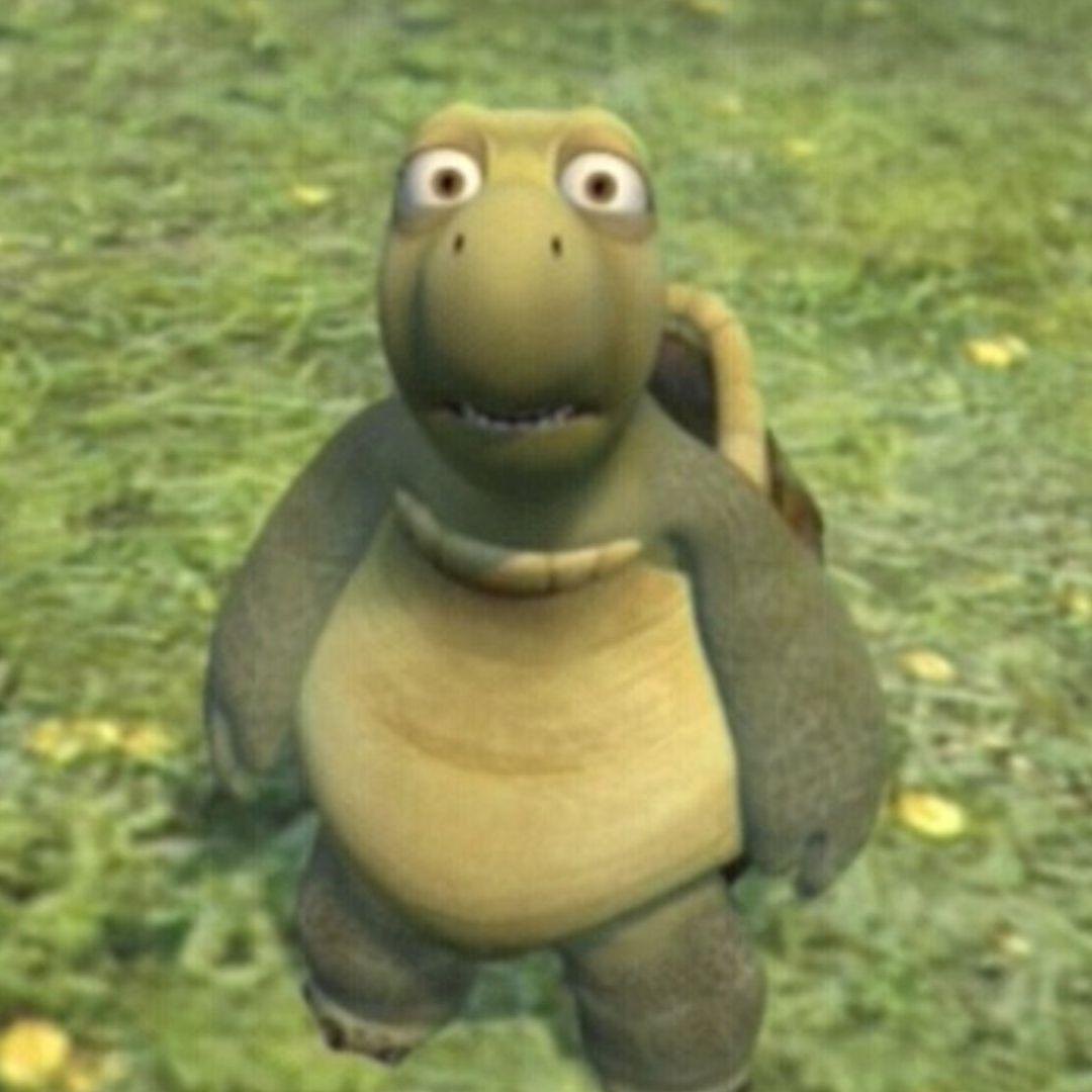 Turtle_Huh avatar
