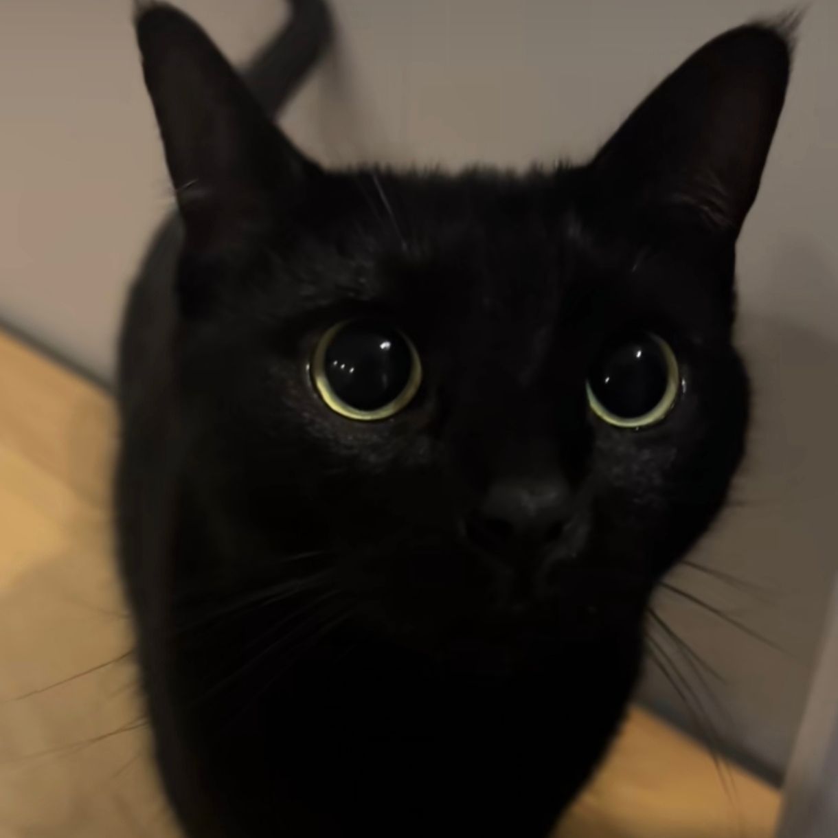 Izumymi avatar