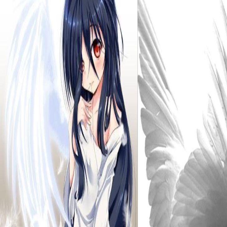 saaetsu avatar