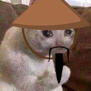 Player Chinesecat avatar