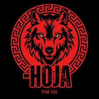 Player -HojA avatar