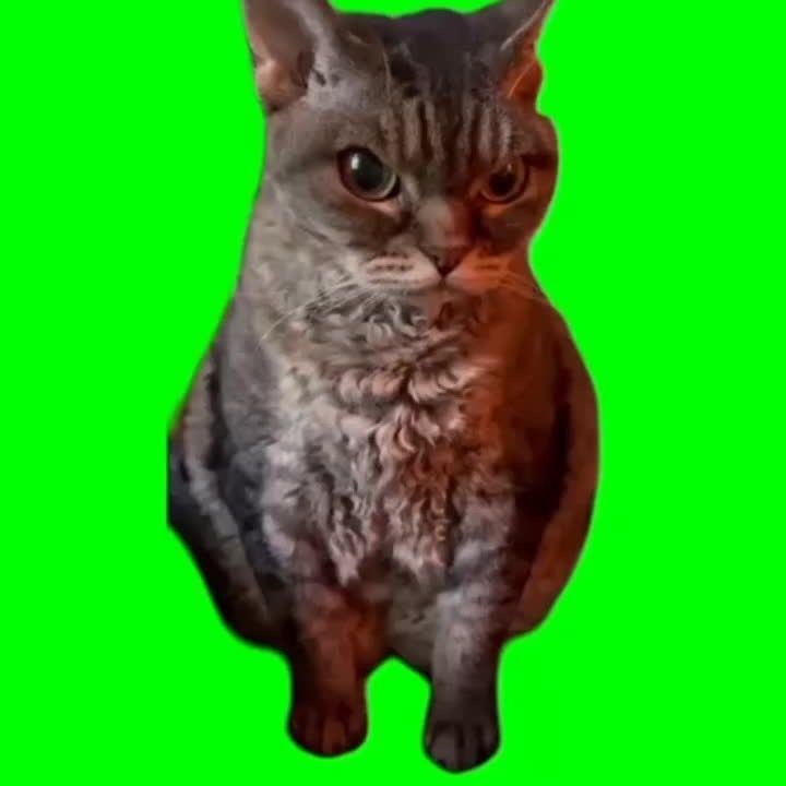 -btw1