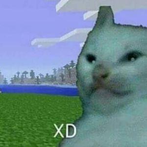 certas1 avatar