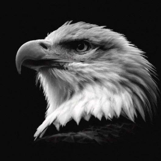 EagleClaw37 avatar