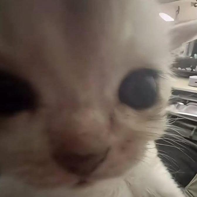 ir1dan avatar