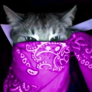 P3RS1E avatar