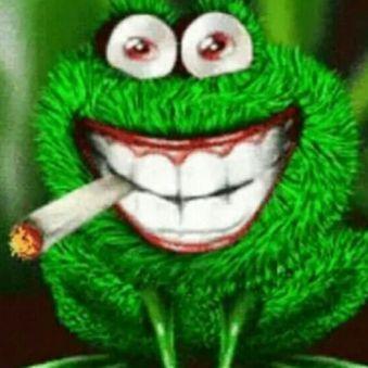 Smartb00ba avatar