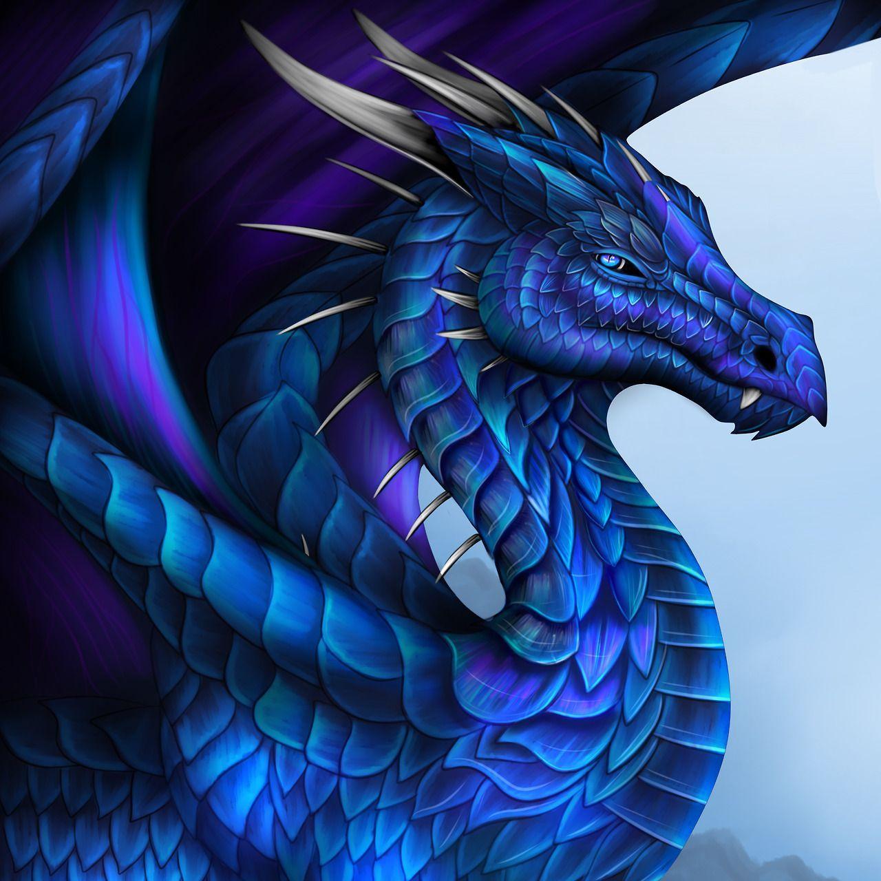 Player Eragon_09 avatar
