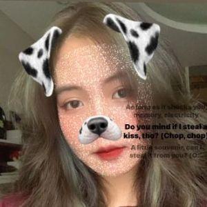 iitschipp avatar