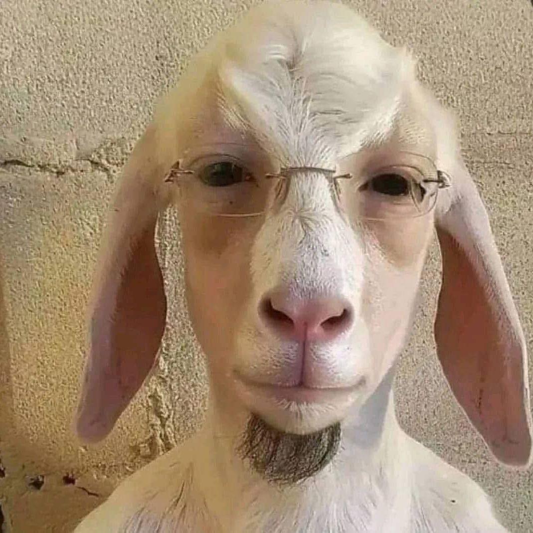 bengalaas avatar