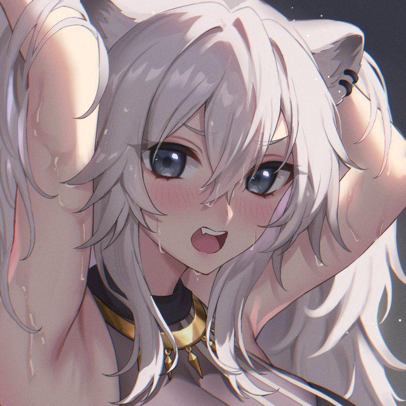 SHBOT23 avatar