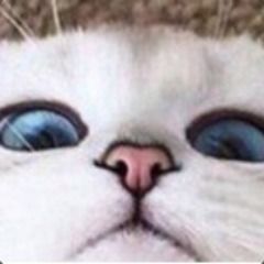 W1ndy
