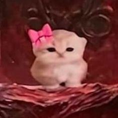 Kazyra avatar