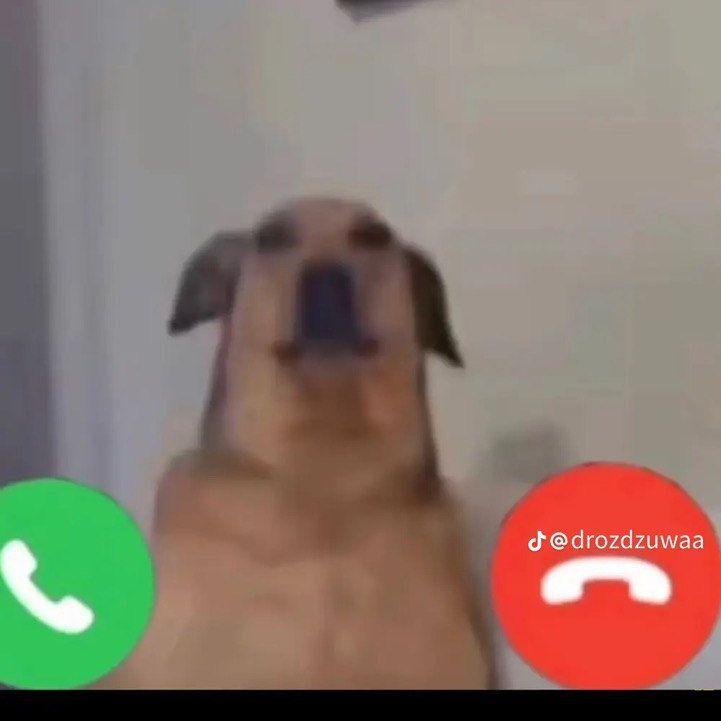 mxdsxp