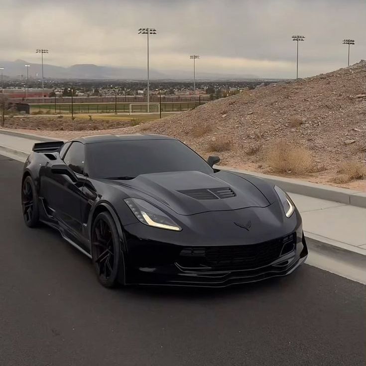 shprot175