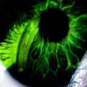 CrispRr avatar