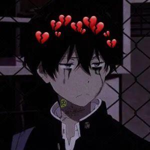HyraxOwner avatar
